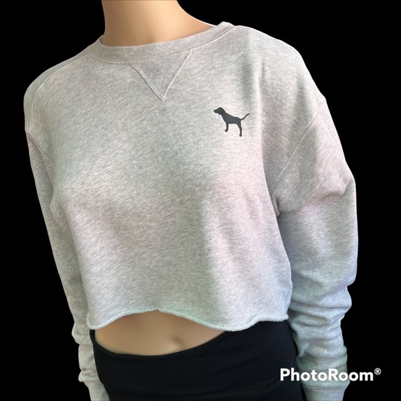 Pink Gray Crop Top Long Sleeve - Picture 1 of 4